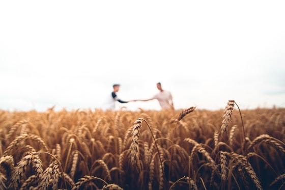 Agriculture / Farm Worker